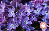 外遇通常與性無關(guān)，而是在尋求理解、尊重和關(guān)心，這些原本是婚姻應該提供的東西。配圖