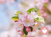 外遇是一段正在死去的婚姻的征兆，而不是原因。在夫妻任何一方出軌之前，這段婚姻的終結早就注定了。配圖