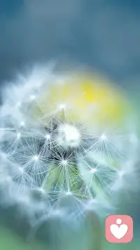 說(shuō)的時(shí)候，可以只描述事實(shí)，不做評(píng)價(jià)和判斷，比如可以說(shuō)“我覺(jué)得我被忽視了。”而不是“你從來(lái)不關(guān)心我！”配圖