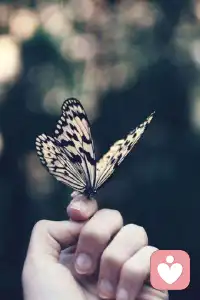 君之閱?11
能力是一個(gè)程度的問題，是一個(gè)從沒有能力到全能的連續(xù)體，不是有無的二分問題。配圖