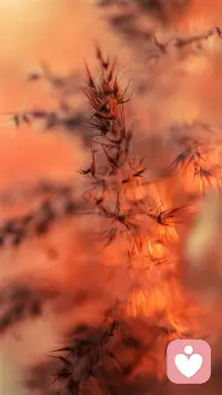 君之閱?19
如果我們遭遇的心理創傷發生在嬰兒時期，那么所帶來的損害會更嚴重，甚至變成伴隨終生的反常執念和行為模式，只要外部環境中有一個與創傷記憶相關聯的元素出現，那種遭遇傷害時的恐懼感就會隨之而來。配圖