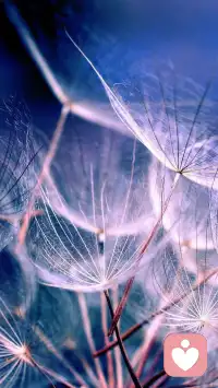 君之閱?38
沖突導致孩子的精神處于警戒狀態，威脅到他們的安全感，讓他們的精神狀態切換到某種緊急應對狀態。配圖