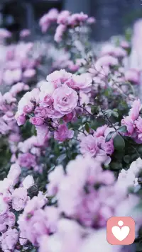 君之閱?39
堅持講問題，以及問題帶給自己的感受，給自己定義，不攻擊對方。例如，“你刷手機的時候，沒有回我的話，我感到很受傷”，這就是一種講完問題，再定義自己感受的良好溝通方法。反過來，如果直接來一句“你只顧著刷手機，都不理我”，就很容易激化矛盾，讓溝通偏離主題。配圖