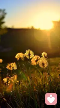 君之閱?40
攻擊只能激發(fā)對(duì)方的防御本能，無助于問題的解決。配圖