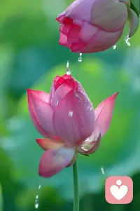 君之閱?42
幾條關于親密愛人之間吵架的原則，包括保持坦白、承認事實、始終相信對方是出于好意，如果現狀不令人滿意，那么對方應該承擔的責任最多只有一半，如果能在吵架中發現對方的潛在需求，和自己性格中的缺陷，那么這場吵架就是賦予建設性的溝通，等等。這些，也同樣適用于家庭成員，以及父母與孩子間發生爭執的場景。配圖