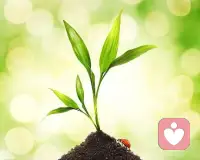 君之阅♥44
很多父母出于疏漏，甚至是有意忽视了孩子的感受，特别是负面感受。配图