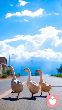 君之阅♥47
每次孩子在说自己难过时，就问他，这到底是一种什么感觉，是什么让他难过，然后开始倾听，先不要着急去做什么具体的修复工作。配图