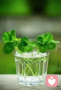 君之閱?55
孩子，天生就很難接受那種被動的、來自他人灌輸的信息，而是會主動去觀察、模仿、理解成年人的言行。配圖