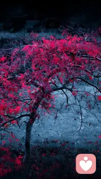 君之阅♥58
我们都希望自己的孩子在人前举止得体，其实包含了四种重要的能力:抗挫折能力、灵活应变的能力、解决问题的能力，以及能够与他人共情的能力。配图