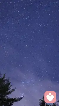 君之閱?59
如果你希望孩子們能夠從小分擔(dān)家務(wù)，養(yǎng)成生活井井有條的好習(xí)慣，那么理想方式并不是給零花孩子，而是應(yīng)該在自己勤于家務(wù)的同時(shí)，首先激發(fā)孩子的游戲與模仿天性，在他們喜愛的過家家游戲中加入家務(wù)工作的環(huán)節(jié)。配圖