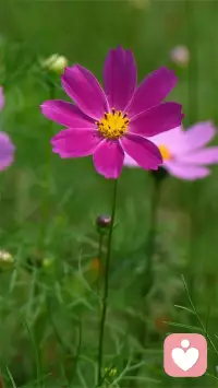 君之阅♥65
和孩子平等地坐下来商讨——
整理房间确实听起来是个头疼艰巨的任务，通过头脑风暴，看看如何把它的难度降低，加入乐趣和挑战？配图