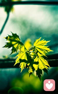 君之阅♥67
虽然父母对孩子的爱，是世界上唯一无条件的爱，但并非所有的父母都能和孩子建立良性健康的亲子关系，很多家庭内的亲子关系都充满了有意无意造成的错误，给孩子的一生留下负面的影响。配图