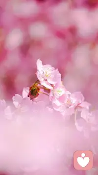 君之阅♥71
在亲子关系中不存在输赢问题，你和孩子不是零和博弈，合作才是王道。配图