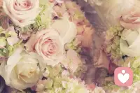 君之阅♥79
当你顺着韧性这个概念继续深挖，会发现，这最初并不是一个心理学概念，而是一个物理学概念。它指的是，材料在塑性变形和破裂过程中，吸收能量的能力。配图