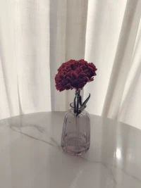 這個世界很美
但發現美的眼睛很少

和君君一起
讓心靈中發現美的眼睛打開
世界又將回歸到美好和寧靜配圖