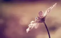跑得遠(yuǎn)，跑得久，比起跑、搶跑強(qiáng)得多。配圖