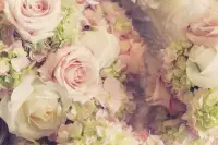 愛情在今天，是勇敢者的游戲配圖