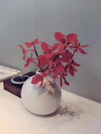過去發生的任何事對未來都沒有絕對影響，
關鍵在于你如何賦予你的經驗以不同意義。配圖