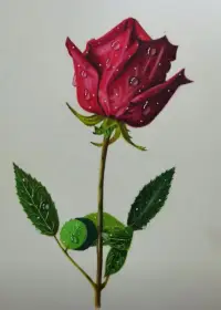 世界那么大，別總待在小黑屋里。走出去，看看這個美麗的世界！
