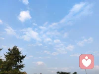 當(dāng)我們成為思維的奴隸，也就自己將自己關(guān)進(jìn)了牢籠，除了自渡，他人愛莫能助。

決定自身當(dāng)下的不是過去的經(jīng)歷，而是我們賦予過去經(jīng)歷的意義。不要總活在過去，不要被過去束縛，放眼當(dāng)下，認(rèn)真過好現(xiàn)在的每一秒。配圖