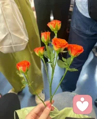 清醒時做事迷茫時讀書獨處時思考;煩躁時運動焦慮是行動得意時淡然;失意時坦然，忙碌時專注閑暇時蓄力熬過無人問津的日子，才能擁有詩和遠方，風雨人生路，學會承受，學會看透，人生，就是一場自己與自己的較量。配圖