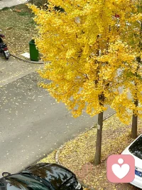 人最大的運氣不是撿到錢，
而是某天你遇到了一個人，
他打破了你原來的思維。
提高了你的認知，既而提升你的境界，
帶你走向更高的境界，這就是你人生的貴人。配圖