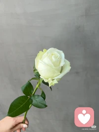 人生到了下半場，不要活在別人的眼神里，只要自己過的春光明媚的，走到哪里都是鳥語花香配圖