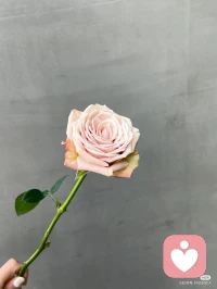 相逢的意義在于彼此照亮，不然的話，一個人喝酒也浪漫，一個人吹風也清醒。?配圖