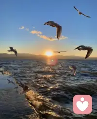 与自己成为朋友，才能听见万物回响.配图