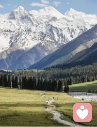 永远不要被外界的声音打乱节奏.配图