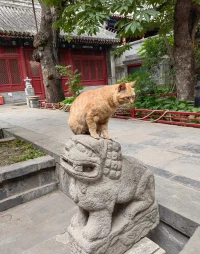 贊美的話可以脫口而出，詆毀的話三思而后行！配圖