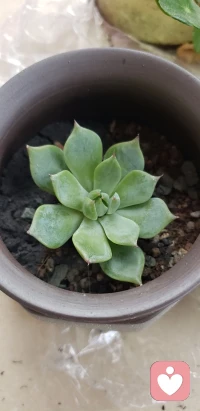 百年之后，沒有你也沒有我。我們拼搏一生，揮一揮衣袖不帶走一片云彩。愛恨得失，名利地位，一切都是浮云。配圖