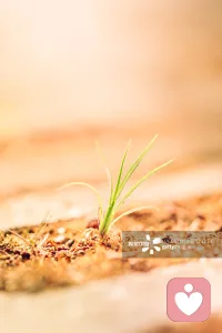 如果你要做一件事，不要炫耀，也不要宣扬，只管安安静静的去做。因为那是你自己的事，别人不知道你的情况，也不可能帮你实现梦想。千万不要因为虚荣心而炫耀。也不要因为别人的一句评价而放弃自己的梦想。其实最好的状态，是坚持自己的梦想，听听前辈的建议，少错几步。值不值，时间是最好的证明。配图