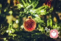 含淚播種的人一定能含笑收獲配圖