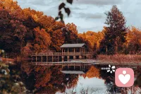 作為這個世界上的匆忙行者，每一段人生都賦予我們對生命不同的理解，或許我們走得并不完善，但也在努力綻放，或許會有迷失，但不要埋怨，沒有路可以重走，沒有人生可以重來。配圖