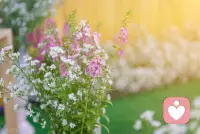 推開一扇窗，屋子里會充滿光亮；為心靈打開一扇窗，可以體驗更多的鳥語花香。讓心融入世界，把溫暖注入心房。配圖