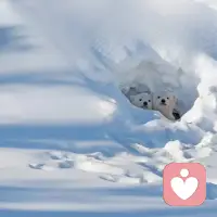 生活说到底，就是取悦自己的过程。
任何时候，我们都是自己精神内耗的制造者，也是唯一的终结者。
只有当你克服了内心的障碍，才会遇到别样的风景，领略到不同的人生。配图