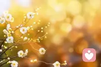 暗示自己運氣好這件事特別有用，人一旦有了正向的氣場，很多事情都會不一樣，你相信自己能做到的話，其他人更愿意伸出援手。配圖