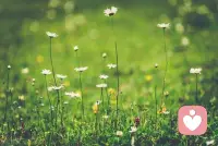 把時間分給睡眠，分給書籍，分給運動，分給花鳥樹木和山川湖海，分給你對這個世界的熱愛，而不是將自己浪費在無聊的人和事上。當你開始做時間的主人，你會感受到平淡生活中噴涌而出的平靜的力量，至于那些焦慮與不安，自然煙消云散。配圖