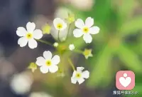 運(yùn)氣不好，
就要多出去走一走，
走運(yùn)走運(yùn)，
你不出去走，哪里來的運(yùn)。
運(yùn)氣是偶然和隨機(jī)事件，
需要人們?nèi)ュ忮撕团加鏊?
去體驗(yàn)不同的事物，
見各種各樣的人，
腦子才會(huì)思考，
才能感覺到自己是在活著，
不管你出門干啥，
哪怕是去咖啡廳里坐著。

總之，只有出去，
你的美好靈魂才能呼吸到新鮮空氣，
只有跟人接觸，
你的美好肉體才能得以釋放它的魅力。配圖