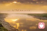 优先考虑自己是很重要的，当自己得到满足时，内心才会变得安宁，然后才会有不同以往的动力去体谅和包容身边的一切。配图