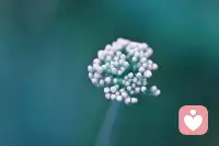 很多时候我们总在看别人，不敢看自己，总在比较，总觉得自己不够好，总想成为别人，却不知我们此生的任务就是做真实的自己。配图