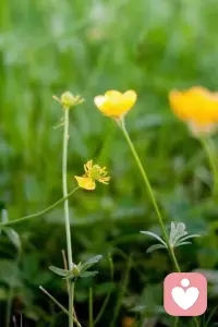 Ithought，thereforeIam。

我思故我在—-笛卡尔配图