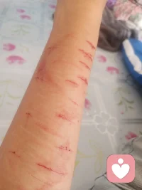 為什么施暴者高高在上我卻只能活在陰暗里配圖