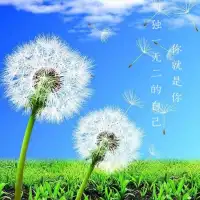導致心理障礙的心理因素:
1、成長中的錯誤觀念；
2、對現實問題中的錯誤評價；
3、對人、對事的持久偏見；
4、持久的負性情緒記憶；
5、不良的歸因傾向；
6、有限經驗造成的偏差；
7、人生價值觀問題；
8、心理發育停滯。配圖