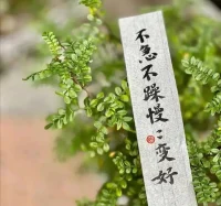 永遠不要走在來訪者前面。配圖
