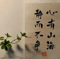 抑郁癥的表面癥狀是心境低落，興趣缺失，思維遲緩，并伴有一些軀體癥狀，但抑郁癥的本質是焦慮，是擔心，對自己的否定，對未來的絕望。抑郁癥是焦慮推動的消極的自動化思維程序，治療抑郁癥就是要解決焦慮。配圖