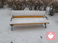 這雪站住了，寒冷天氣真的來了配圖