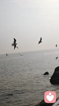 大千世界紛紛攘攘，在這個欲望橫流的時代，成年人的生活里，沒有容易二字，每一段笑聲里，都隱藏著別人不能懂的疲憊。配圖