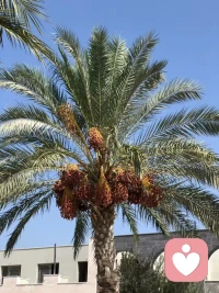 中醫(yī)說(shuō)心情愉悅是大補(bǔ)，情緒低落是大傷，所以呀活的輕松點(diǎn)吧，無(wú)法重來(lái)的一生，請(qǐng)盡量快樂(lè)，一定要把你在意的東西看的淡一點(diǎn)，再淡一點(diǎn)，這個(gè)世界上真的沒(méi)有那么多人在乎你，人在乎你的，只有你自己任何關(guān)系走到最后，不過(guò)就是相識(shí)一場(chǎng)，有心者有所累，無(wú)心者無(wú)所謂。配圖